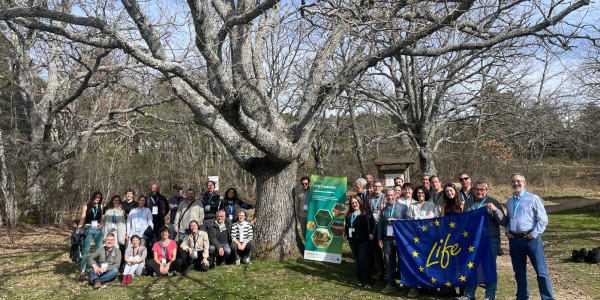 El butlletí de la XCN – Març 2026