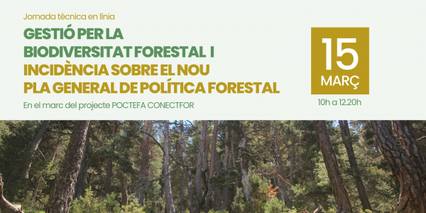 Participa en la jornada tècnica en línia sobre gestió de la biodiversitat forestal