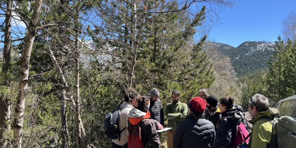 Vols descobrir un cas pràctic de bioenginyeria?
