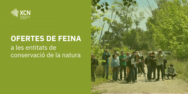 Noves ofertes de feina a les entitats de conservació de la natura