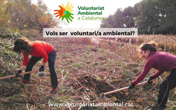Voluntariat ambiental